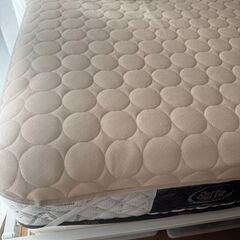 Serta サータ ペディック85 GF BOX-T ハード マットレス シングルの画像