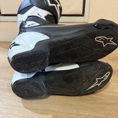 アルパインスターズのブーツの画像