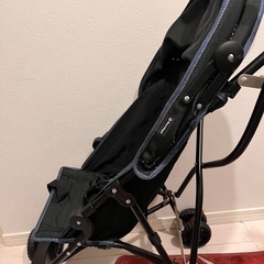 バギー 使用1回のみの画像