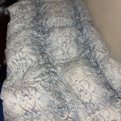 西川　羽毛布団　シングルの画像