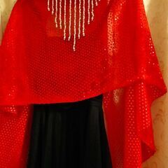 スパンコールコーラスドレスの画像