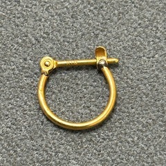 フープピアスk18の画像