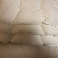 ふんわりもっちりプレミアムまくら（ニトリ）の画像