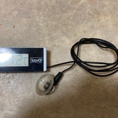 テトラ、水槽の水温計の画像