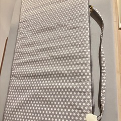 新型⭐︎2025年1月購入【テルスガイザー、テラケット】の画像