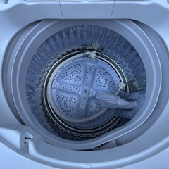 H15 送料設置無料  シャープ　洗濯機　2025年製　7㌔　冷蔵庫の画像