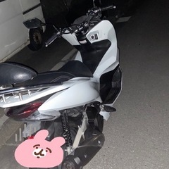 pcx125 jf81 125cc バイク　スクーターの画像