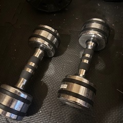 懸垂台とダンベルとベンチ台の画像