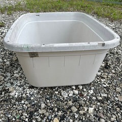 120L タライ　50個以上　めだか　観賞魚　ガーデニング　業者の画像