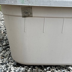 120L タライ　50個以上　めだか　観賞魚　ガーデニング　業者の画像