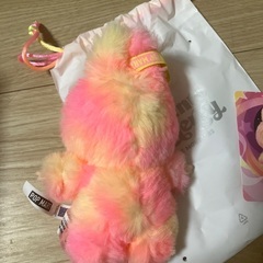 正規品　ラブブの画像