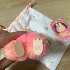 正規品　ラブブの画像