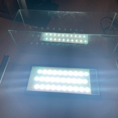 チヒロズ30と45センチ水槽の画像