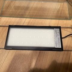 チヒロズ30と45センチ水槽の画像