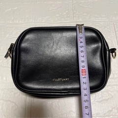 【未使用】JILLSTUART ショルダーバッグ(専用のストラップが無いのでお写真5枚目をお付けします)の画像
