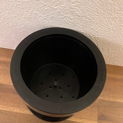 Starbucks  ソロフィルターの画像