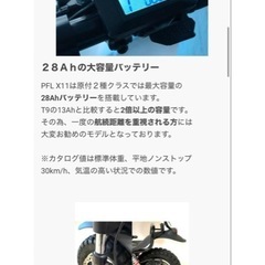 PFL X11(48V 1000W)の画像