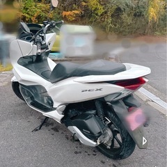 HONDA PCX125バイクの画像