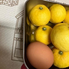 柚子(一才柚子)の画像