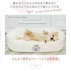 早い者勝ち！2025新作！新品RADIKA ペットのベッドの画像