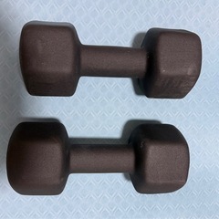 10kgラバーダンベルの画像