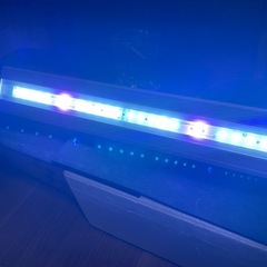 アクロ　トライアングルテラリウム60の画像