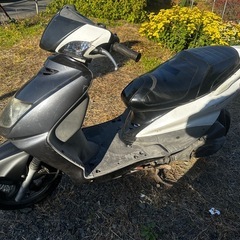 シグナスX se12j 書類ありの画像