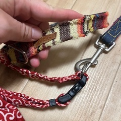 bloomy✨ハーネス・リードセット✨の画像