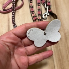 BIRDIE✨petio✨リード2本セット✨ペットショップ購入✨の画像