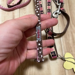 BIRDIE✨petio✨リード2本セット✨ペットショップ購入✨の画像