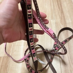 BIRDIE✨petio✨リード2本セット✨ペットショップ購入✨の画像