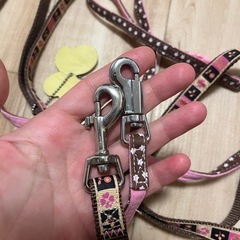 BIRDIE✨petio✨リード2本セット✨ペットショップ購入✨の画像