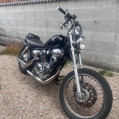 ビラーゴ250 滋賀県の画像