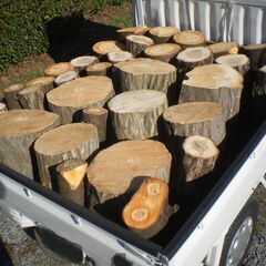 【玉切薪☆大変お得☆広葉樹☆約300kg以上】 ★1124の画像