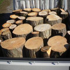 【玉切薪☆大変お得☆広葉樹☆約300kg以上】 ★1124の画像