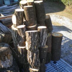 【玉切薪☆大変お得☆広葉樹☆約300kg以上】 ★1124の画像