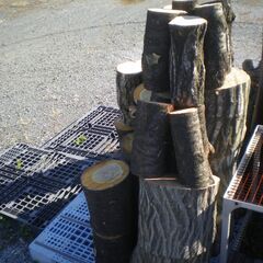 【玉切薪☆大変お得☆広葉樹☆約300kg以上】 ★1124の画像