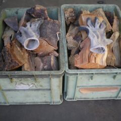 ■【数量限定】広葉樹ミックス薪　約20キロ　1124の画像