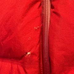 UNIQLO 赤ダウンジャケットの画像