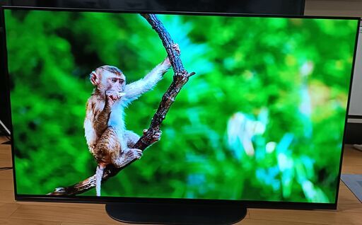 無料配送 美品 2020年 SONYBRAVIA 48V型 KJ-48A9S 4K有機ELTV HDR10