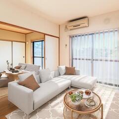 💰️敷礼無料！鉄筋コンクリート造で地震も安心!ネット無料！