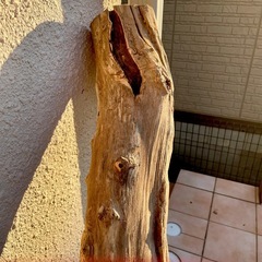 大型流木　大きい 流木　の画像