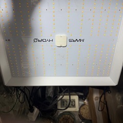 MARSHYDRO育成キットの画像