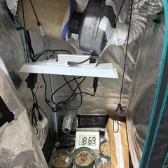 MARSHYDRO育成キットの画像