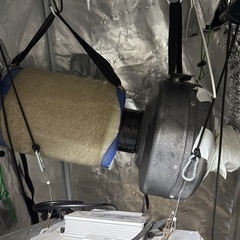 MARSHYDRO育成キットの画像