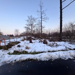 【残り2本程度🙇‍♂️】薪無料