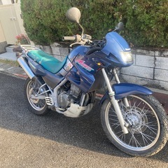 Kawasaki(カワサキ) KLE250 アネーロ KLX KDX 