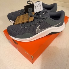 ナイキ レジェンド エッセンシャル 3 ネクスト ネイチャー26cmの画像