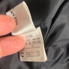 レース模様テーラーサイズはLLジャケットの画像