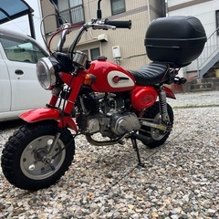 モンキー88ccc
の画像